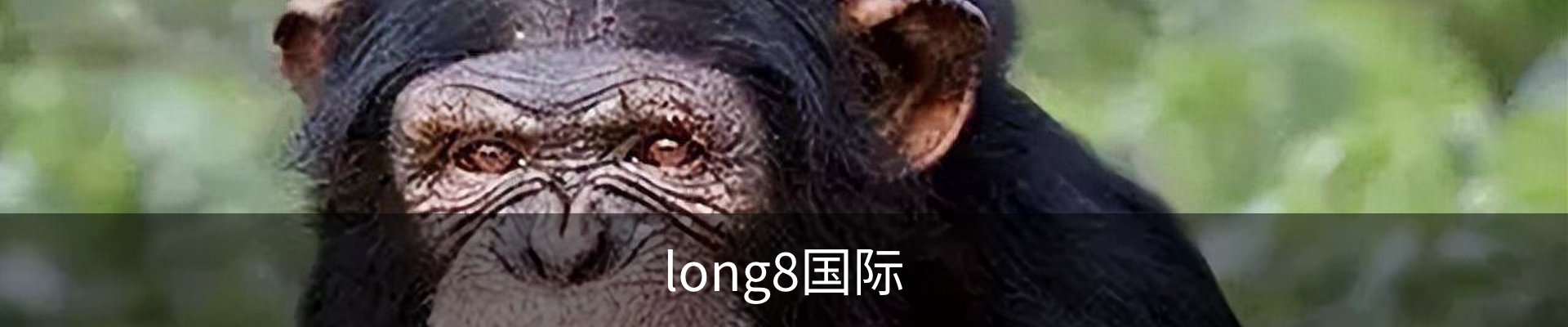 long8国际